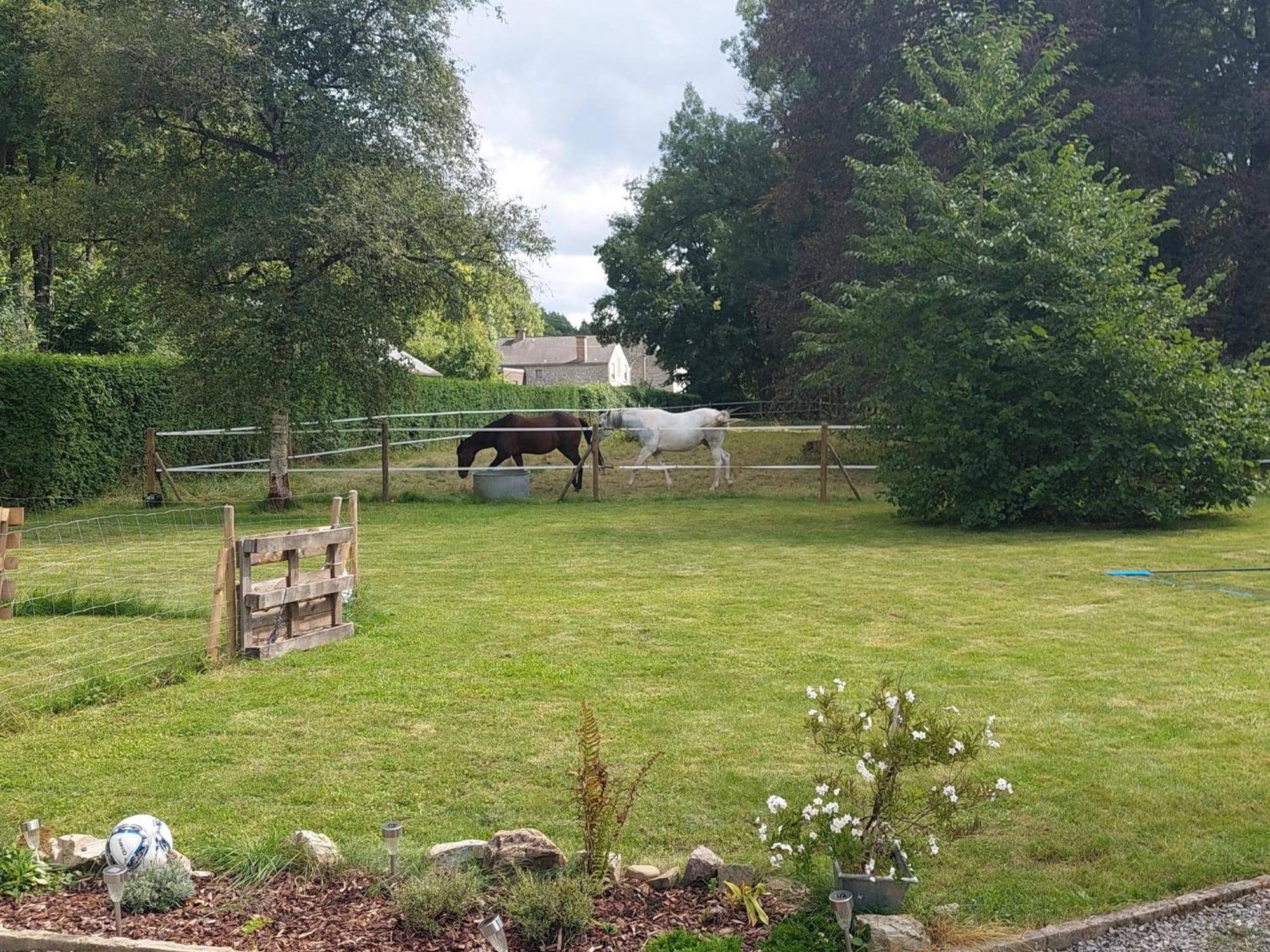 Bed and Breakfast Au Doux Chardon Durbuy Exterior foto